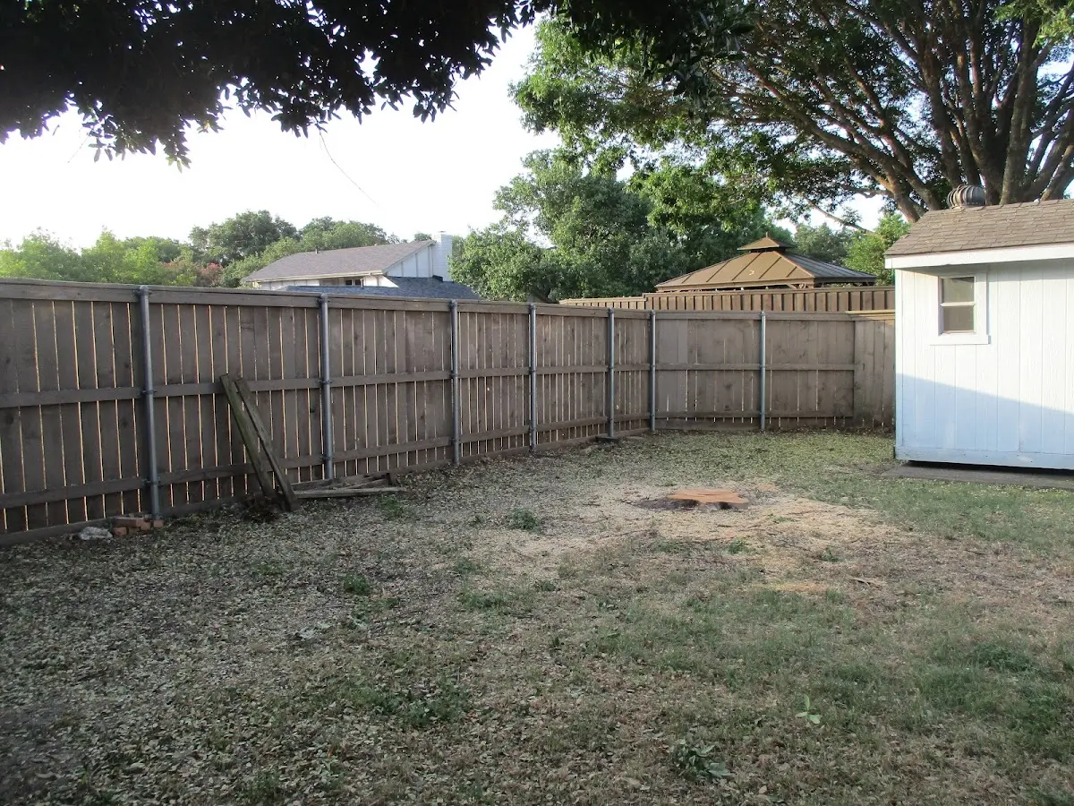 Cleared yard after professional tree removal in New Harmony